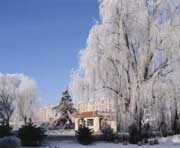 尚志天气预报40天