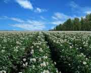 克山天气预报15天