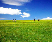 蔚县天气预报60天