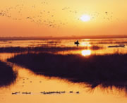 桃城天气预报60天