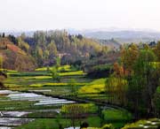 洋县天气预报15天