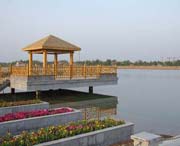 成武天气预报40天