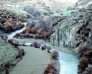 类乌齐后天天气