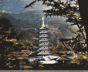 泾川天气预报40天