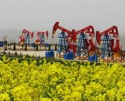 庆城天气预报15天