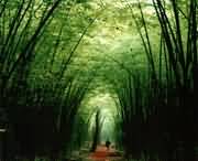 洛宁天气预报40天