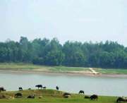 枞阳天气预报15天