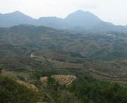 大田天气预报40天