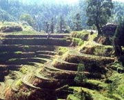 桂东天气预报60天