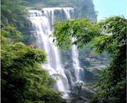 江安天气预报40天