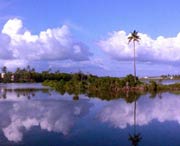 徐闻天气预报15天