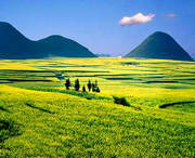 罗平天气预报40天