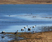 会泽天气预报40天