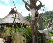 沧源天气预报40天