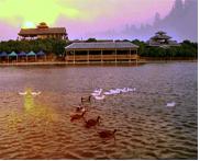 田阳天气预报40天